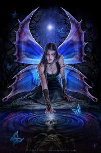 Amnelisia 