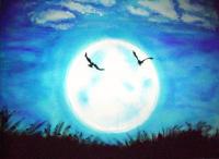 Ombre de lune
