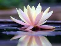 Quatrain6