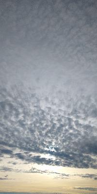 Altostratus