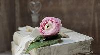 maike.liese