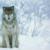 Loup